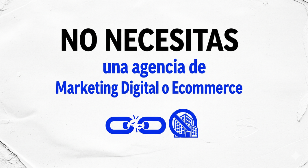NO NECESITAS una agencia de Marketing Digital o Ecommerce